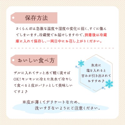 【令和8年産】さくらんぼ やまがた紅王 300g 3L玉 手詰め 特秀品 化粧箱入 