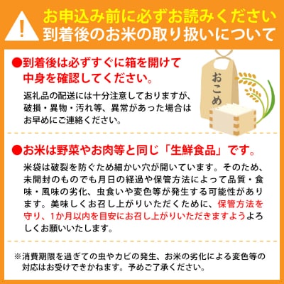 【令和8年産米】2026年12月上旬発送 はえぬき30kg(10kg×3ヶ月)隔月定期便 山形県産