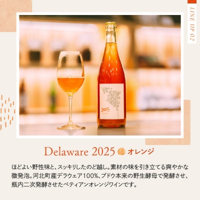 【河北町産ぶどう100%使用】Red & Orange Pét-Nat 2025 2本飲み比べセット