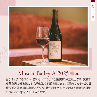 【河北町産ぶどう100%使用】Red & Orange Pét-Nat 2025 2本飲み比べセット