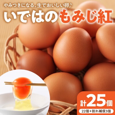 たまご 25個 入り(破損補償3個を含む)新鮮うみたて 卵【いではのもみじ紅 】