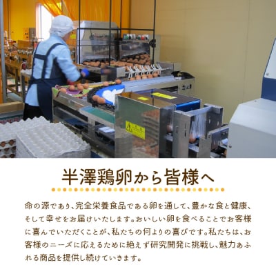 たまご 25個 入り(破損補償3個を含む)新鮮うみたて 卵【いではのもみじ紅 】