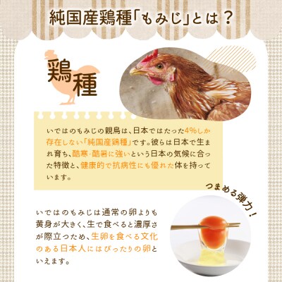 【毎月定期便・全6回】卵 いではのもみじ紅 25個入(破損補償3個含む)×6回  計150個 