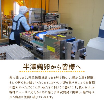 【毎月定期便・全6回】卵 いではのもみじ紅 25個入(破損補償3個含む)×6回  計150個 