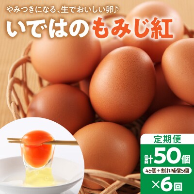 【毎月定期便・全6回】卵 いではのもみじ紅 50個入(破損補償3個含む)×6回  計300個 