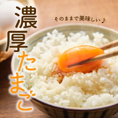【毎月定期便・全3回】卵 いではのもみじ紅 25個入(破損補償3個含む)×3回 計75個