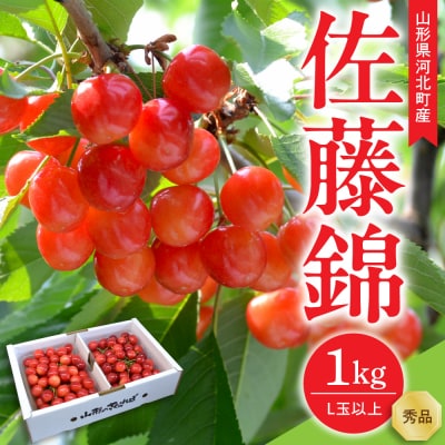 【令和9年産】さくらんぼ 佐藤錦 1kg(500g×2パック) L玉以上 ギフト箱入 秀品