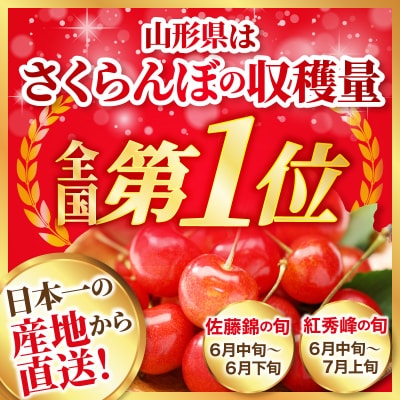 【令和9年産】さくらんぼ 佐藤錦 1kg(500g×2パック) L玉以上 ギフト箱入 秀品
