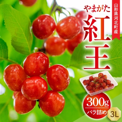 【令和9年産】さくらんぼ やまがた紅王 300g 3L玉 バラ詰め ギフト箱入 秀品 山形eLab