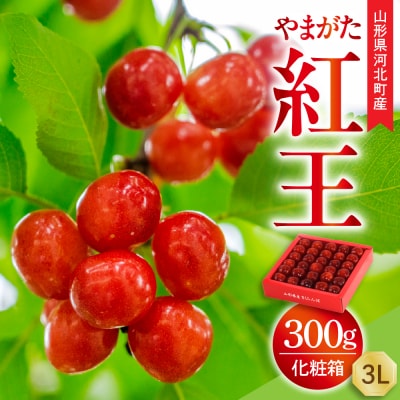 【令和9年産】さくらんぼ やまがた紅王 300g 3L玉 手詰め 化粧箱入 特秀品