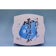雪ほたか　精米2kg+雪ほたかレンジアップごはんセット【川場村産こしひかり】