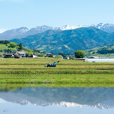 先行受付!【令和7年度産】　雪ほたか5kg　【川場村産こしひかり】