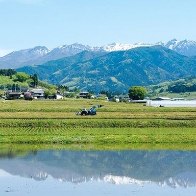 【令和7年度産】　雪ほたか2kg　【川場村産こしひかり】