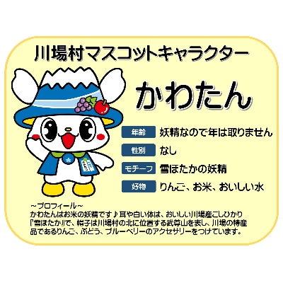かわたんグッズセット