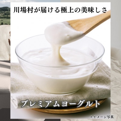 プレミアムヨーグルト350g