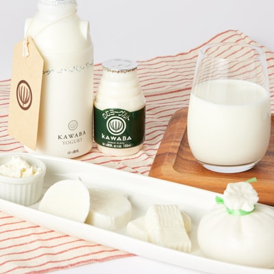 4種のチーズとヨーグルトセット