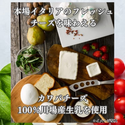 4種のビールとモッツァレラセット