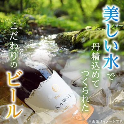 WEIZEN(ヴァイツェン)12本セット