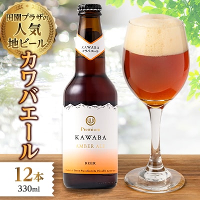 カワバエール　12本セット