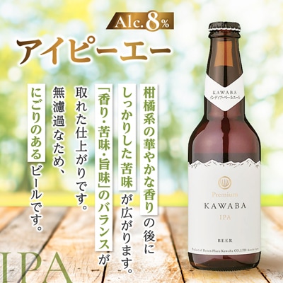 IPA　12本セット
