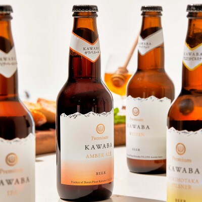 カワバエール 24本セット