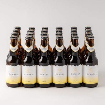 雪ほたかピルスナー　24本セット