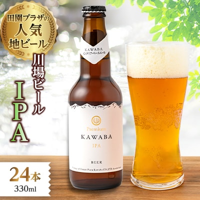 IPA　24本セット