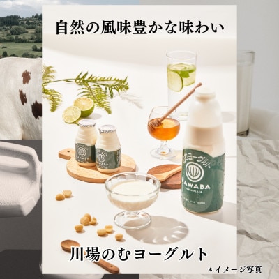 【毎月定期便】川場のむヨーグルト 150ml×16本セット全3回