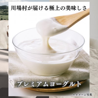 【毎月定期便】2種類のヨーグルトセット(16本)全3回