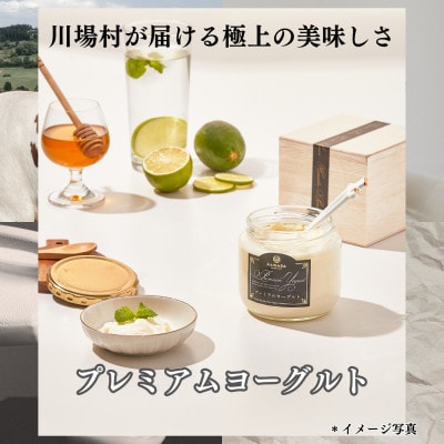 【毎月定期便】2種類のヨーグルトセット(16本)全3回