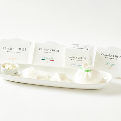 【毎月定期便】4種のチーズとヨーグルトセット全3回