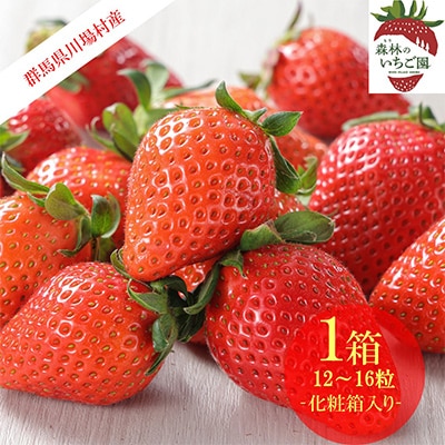 森林の力で育った朝摘みいちご1箱　【12～16粒入り】