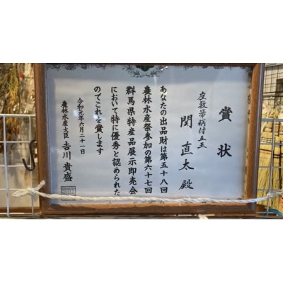 利根沼田の座敷箒(生品箒) 柄付5玉箒