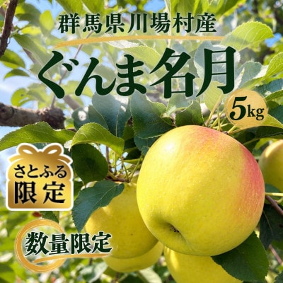 【さとふる限定】先行受付!川場村産ぐんま名月5kg【2026年11月下旬より順次発送】