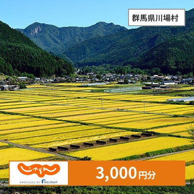 【じゃらんふるさと納税クーポン】 群馬県川場村でつかえる3,000円 クーポン