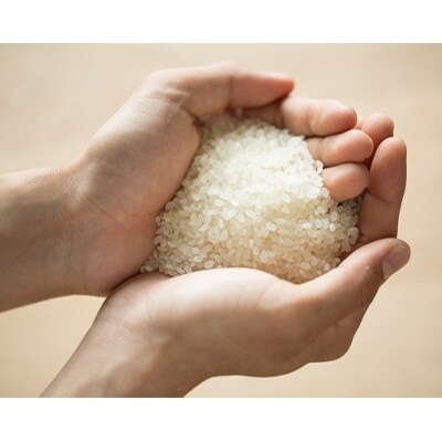 【令和元年産】【無洗米】東川米「ななつぼし」5kg+水4Lのセット 【19000508】
