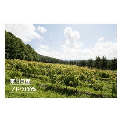 ひがしかわワイン「kitoushi」 750ml×1本【20001510】