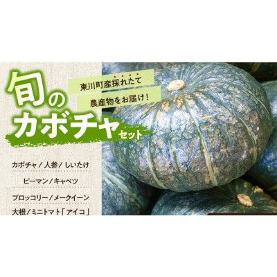 【9月下旬発送】旬の採れたて野菜「カボチャセット」【0065-004】
