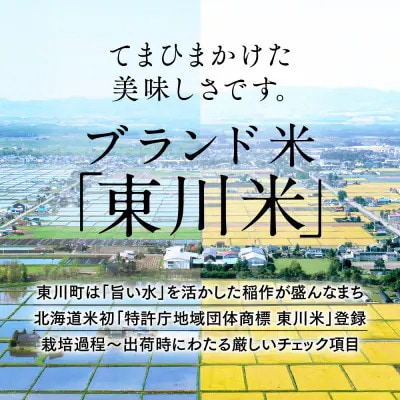 【R7年産新米先行予約】東川米 ゆめぴりか「無洗米」5kg(1月末発送)【y005-002-r7】