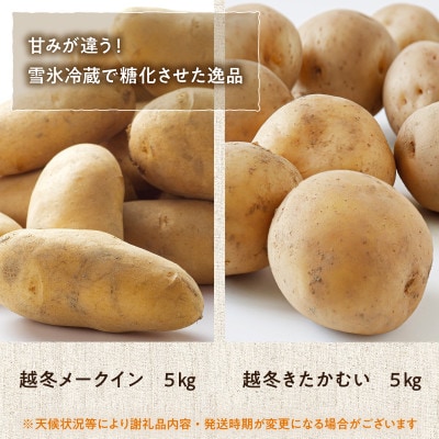 【3月中旬発送】旬のお野菜「越冬ジャガイモセットB」【0065-005-02】