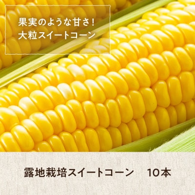旬の採れたて野菜「スイートコーン」　　　　　　　　　　　　　　　　　　　　　　　【0065-003】