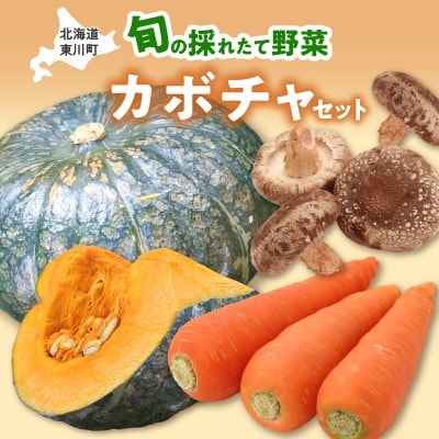 旬の採れたて野菜「カボチャセット」　　　　　　　　　　　　　　　　　　　　　　　【0065-004】