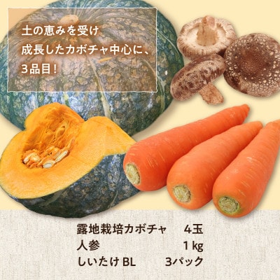 旬の採れたて野菜「カボチャセット」　　　　　　　　　　　　　　　　　　　　　　　【0065-004】