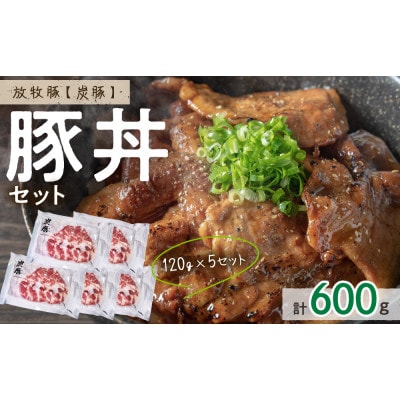 放牧豚「炭豚」の豚丼セット 計600g【0093-004】