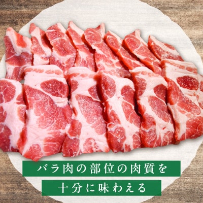 放牧豚「炭豚」の豚丼セット 計600g【0093-004】