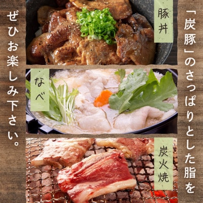放牧豚「炭豚」の豚丼セット 計600g【0093-004】
