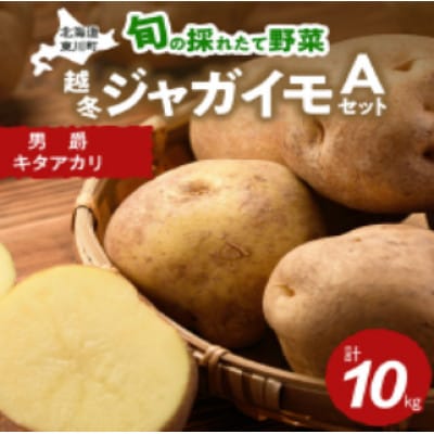 【1月下旬より順次発送】旬のお野菜「越冬ジャガイモセットA」【0065-005-01】