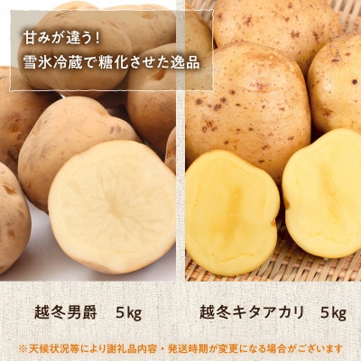 【1月下旬より順次発送】旬のお野菜「越冬ジャガイモセットA」【0065-005-01】