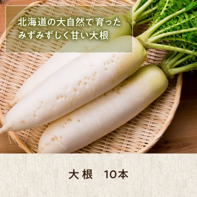 【9月下旬より順次発送】旬の採れたて野菜「だいこん」【0065-010】