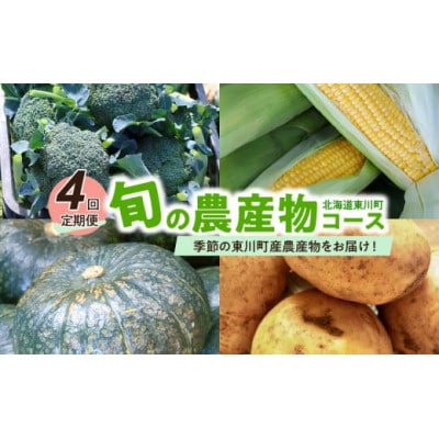 【発送月固定定期便】旬の農産物コース【0065-008】全4回